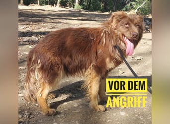 Yana möchte nur geliebt werden