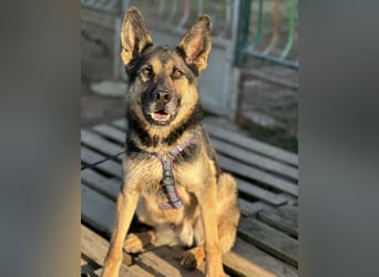 Pasha ein wundervoller Freund fürs Leben