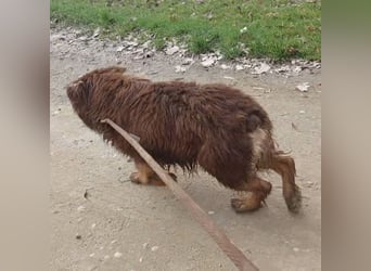 Yana möchte nur geliebt werden