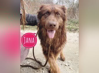 Yana möchte nur geliebt werden