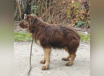 Yana möchte nur geliebt werden