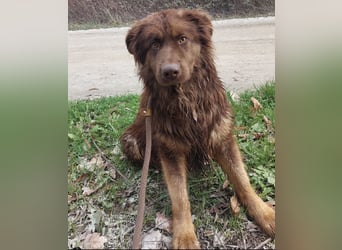 Yana möchte nur geliebt werden