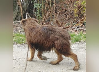 Yana möchte nur geliebt werden