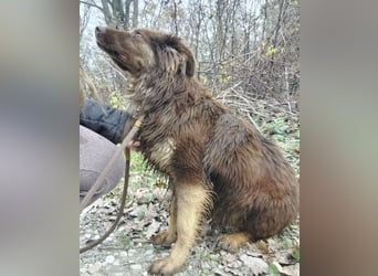 Yana möchte nur geliebt werden