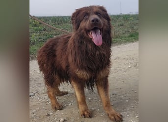 Yana möchte nur geliebt werden