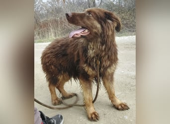 Yana möchte nur geliebt werden