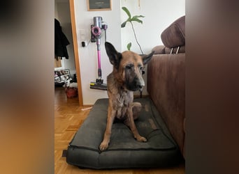 Lina: Mittendrin statt nur Dabei