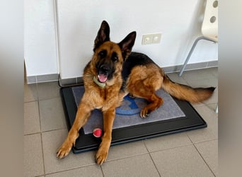 Lina: Mittendrin statt nur Dabei