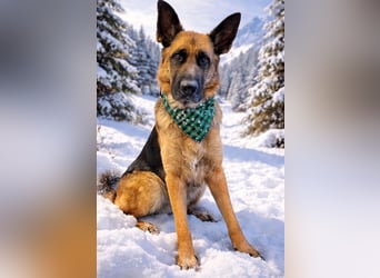 Lina: Mittendrin statt nur Dabei