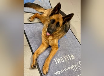 Lina: Mittendrin statt nur Dabei