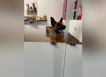 Lina: Mittendrin statt nur Dabei