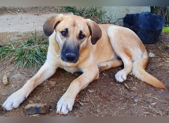 Irina wünscht sich ihre eigene Familie