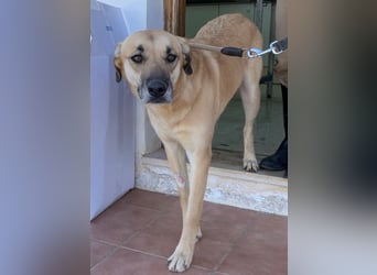 Irina wünscht sich ihre eigene Familie