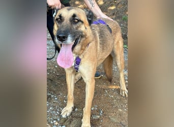 Dora geht mit dir durch dick & dünn