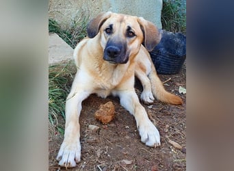 Irina wünscht sich ihre eigene Familie