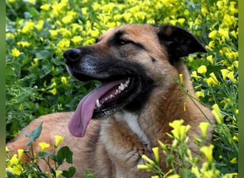 Dora geht mit dir durch dick & dünn