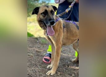 Dora geht mit dir durch dick & dünn