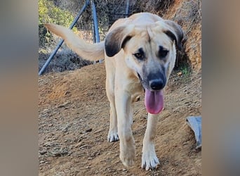 Irina wünscht sich ihre eigene Familie