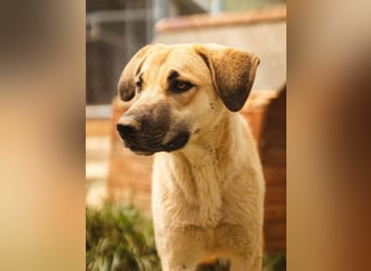 Irina wünscht sich ihre eigene Familie