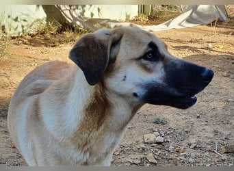 Irina wünscht sich ihre eigene Familie