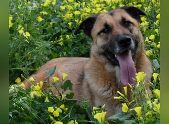 Dora geht mit dir durch dick & dünn