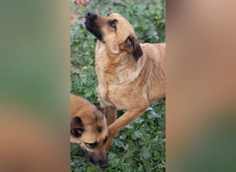 Dora geht mit dir durch dick & dünn