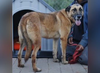 Dora geht mit dir durch dick & dünn