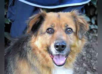 Zenone - Die unbeantwortete Frage von 2021