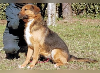 Zenone - Die unbeantwortete Frage von 2021