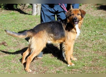 Zenone - Die unbeantwortete Frage von 2021