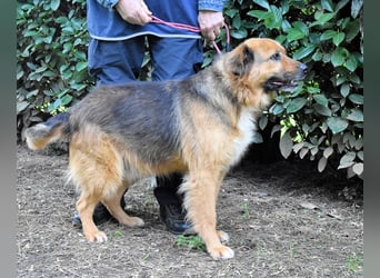 Zenone - Die unbeantwortete Frage von 2021