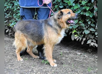 Zenone - Die unbeantwortete Frage von 2021