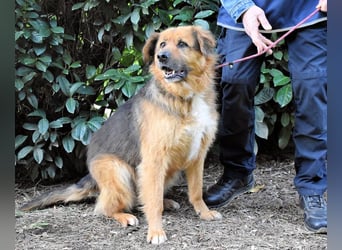 Zenone - Die unbeantwortete Frage von 2021