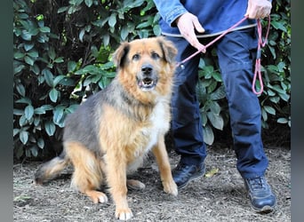 Zenone - Die unbeantwortete Frage von 2021