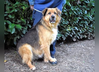 Zenone - Die unbeantwortete Frage von 2021