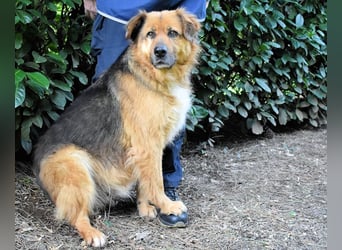 Zenone - Die unbeantwortete Frage von 2021