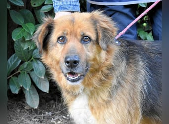 Zenone - Die unbeantwortete Frage von 2021