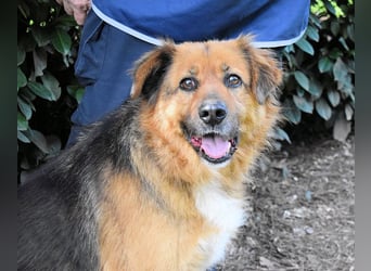 Zenone - Die unbeantwortete Frage von 2021