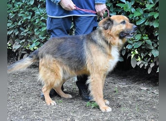 Zenone - Die unbeantwortete Frage von 2021