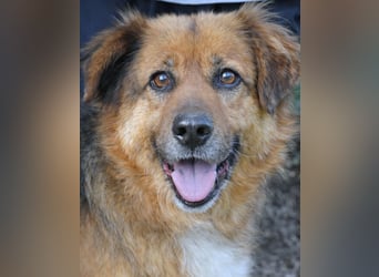 Zenone - Die unbeantwortete Frage von 2021