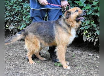 Zenone - Die unbeantwortete Frage von 2021