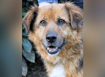 Zenone - Die unbeantwortete Frage von 2021