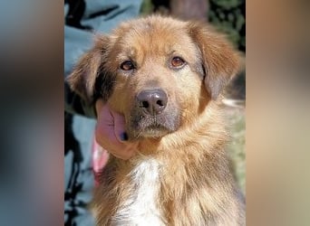 Zenone - Die unbeantwortete Frage von 2021