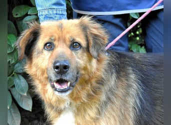 Zenone - Die unbeantwortete Frage von 2021