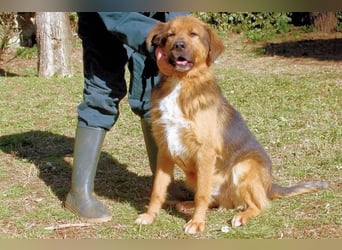 Zenone - Die unbeantwortete Frage von 2021