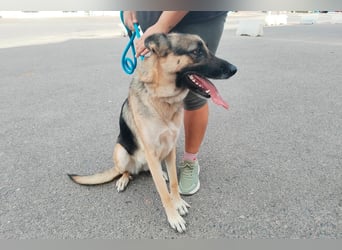 Libertad, eine Schönheit auf Körbchensuche