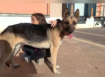 Libertad, eine Schönheit auf Körbchensuche