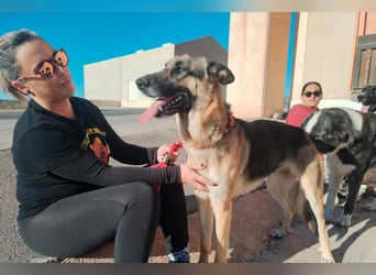 Libertad, eine Schönheit auf Körbchensuche