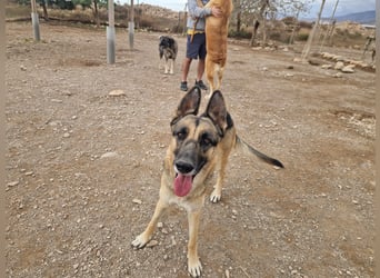 Libertad, eine Schönheit auf Körbchensuche