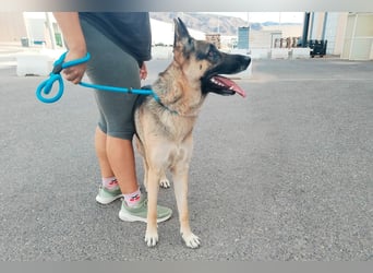 Libertad, eine Schönheit auf Körbchensuche